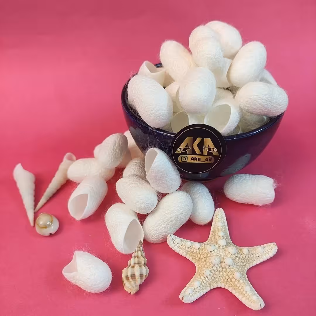 پیله ابریشم 