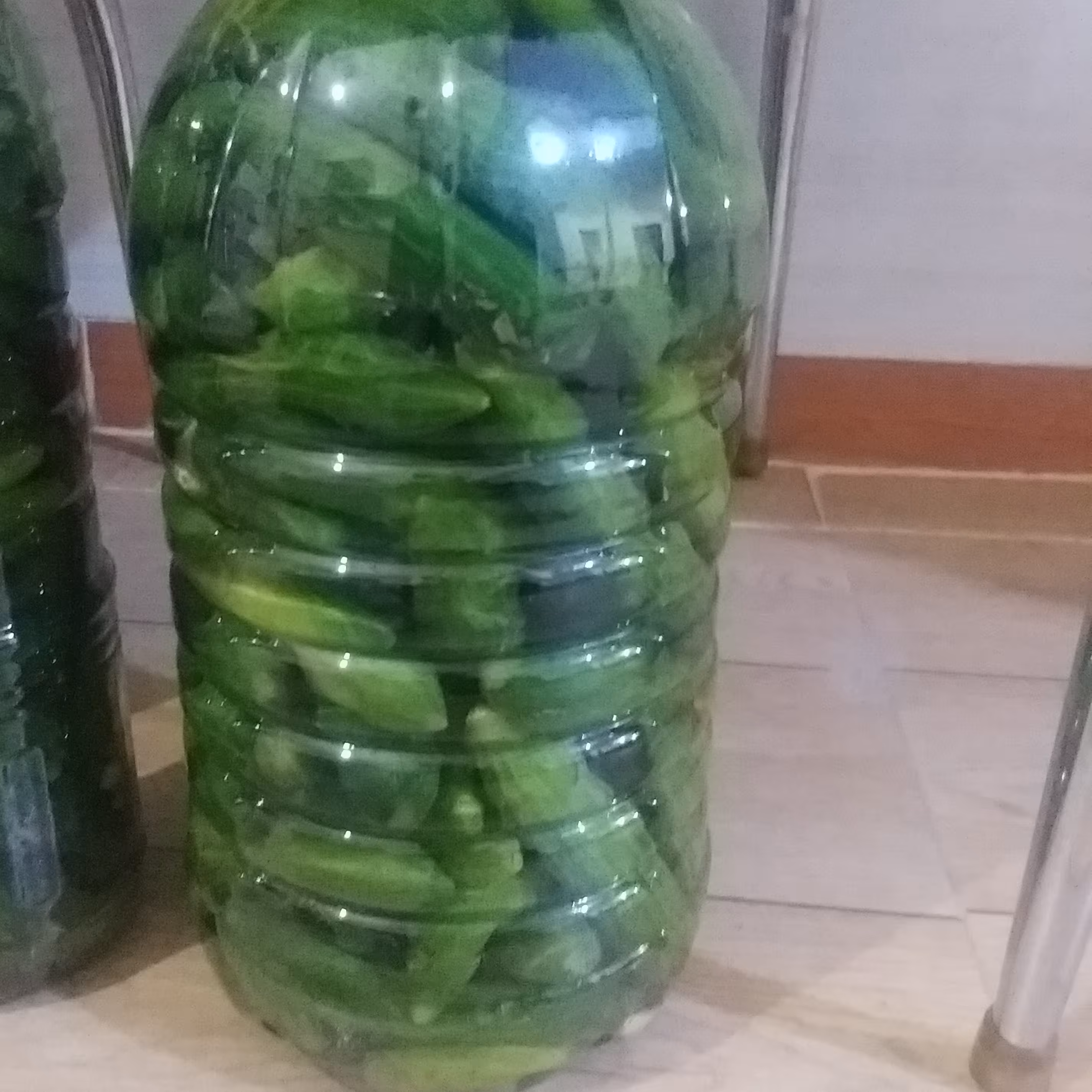 خیارشور نول تازه بار و با کیفیت عالی و قیمت عمده فروشی و ارسال به سراسر ایران 