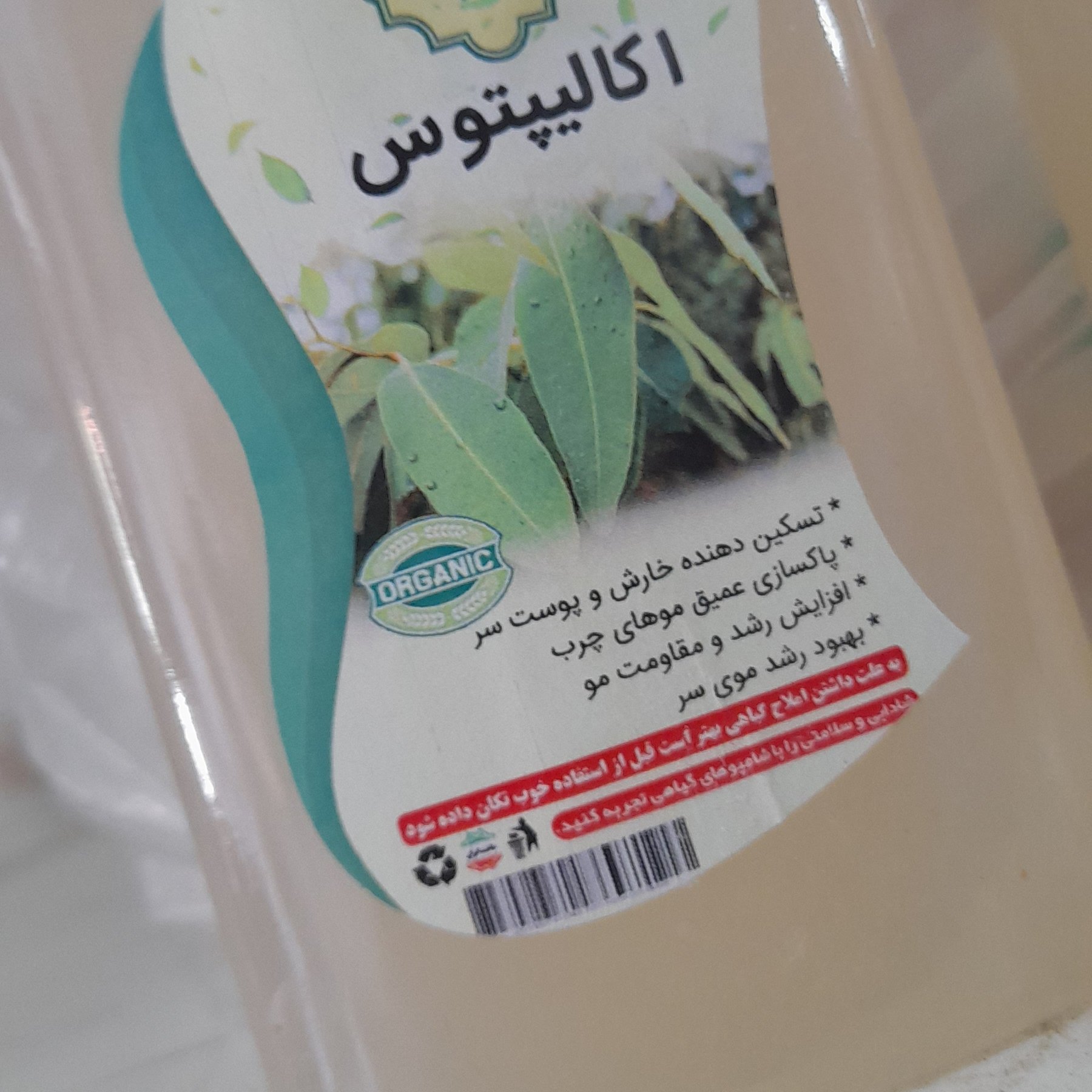 شامپو اکالیپتوس طبیعی (طب اسلامی )