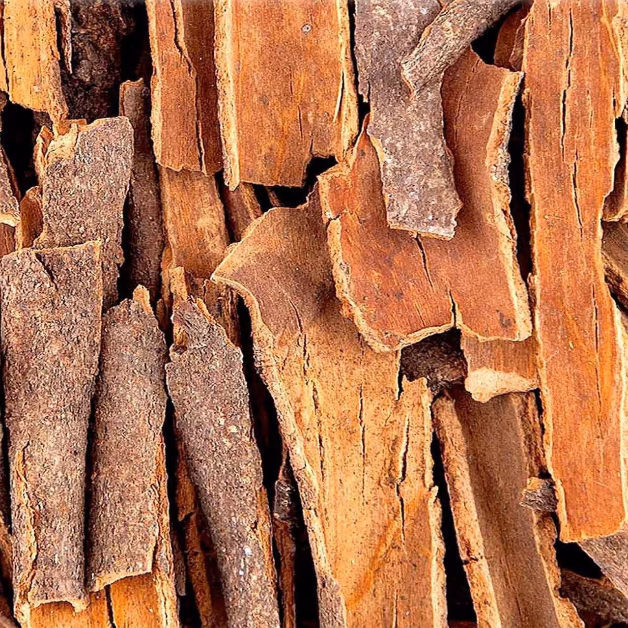 دارچین بسته 100 گرمی