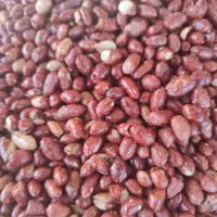 پخش بادام زمینی هندی طعم لیمویی  نه کیلو و شیصد گرم