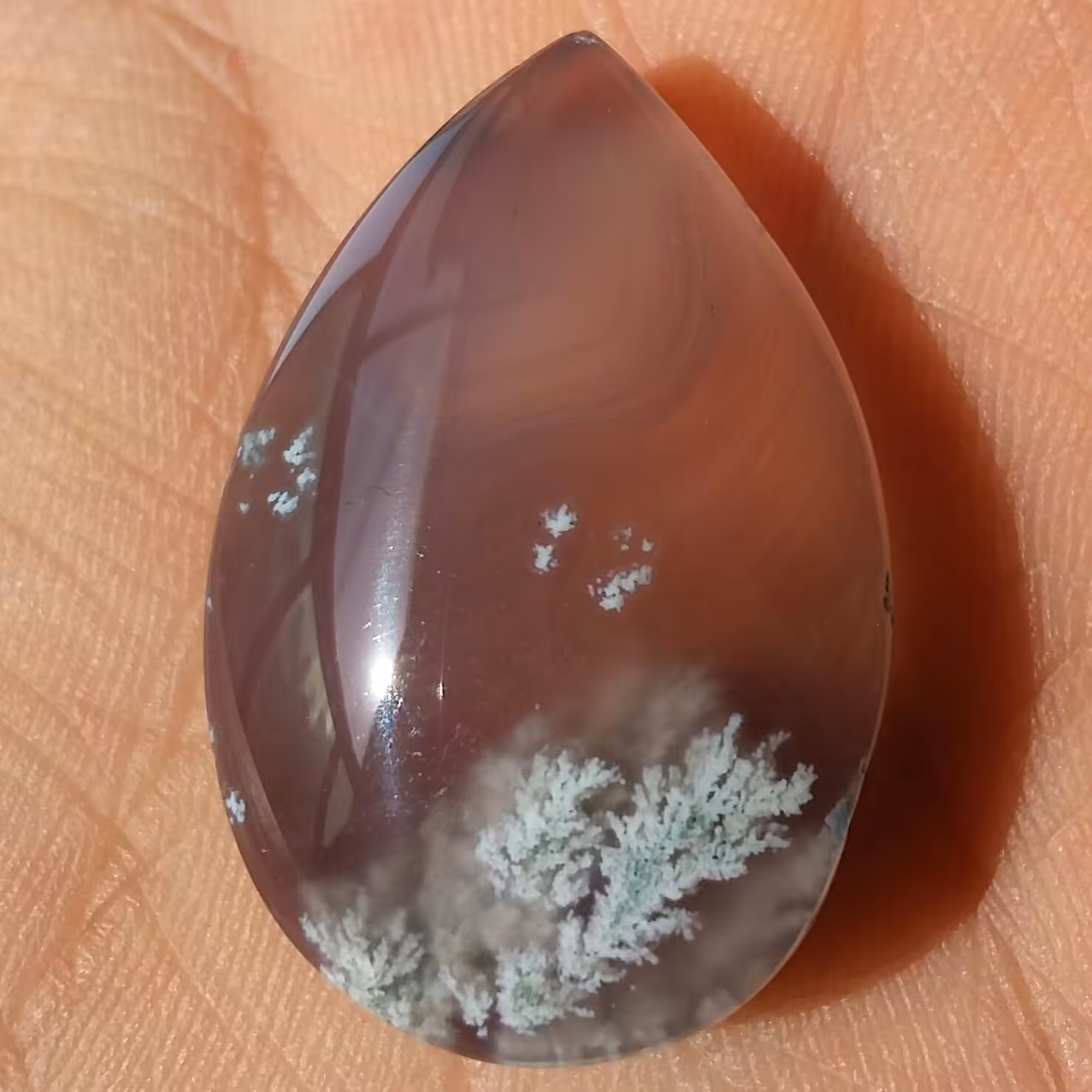 نگین شجر شکوفه زمینه سوسنی پر رنگ خاااص محشر بی نظیر 100درصد طبیعی شاهکار خلقت