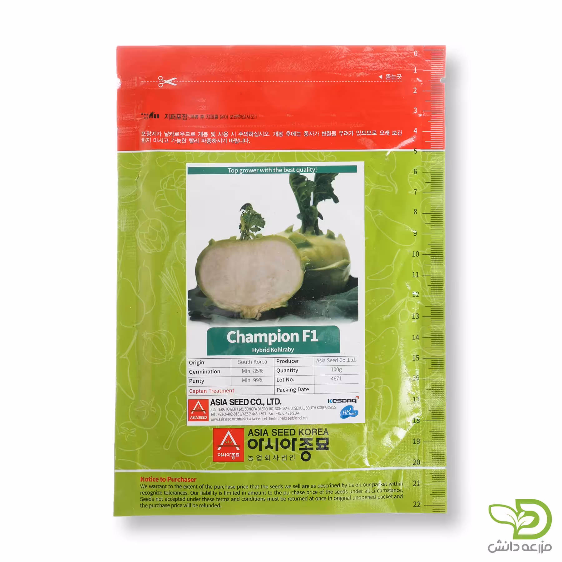 بذر کلم قمری چمپیون