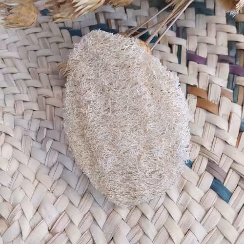 لیف ، پد گیاهی لوفا مدل ترنم