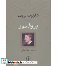 قیمت و خرید کتاب پروفسور نشر نی اثر شارلوت برونته | ایده بوک