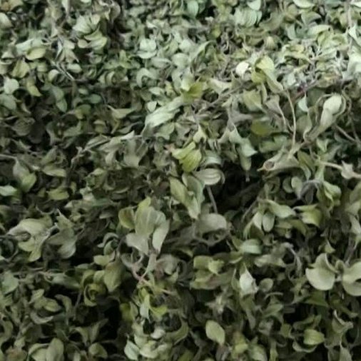 کاکوتی کوهی خالص ودرجه یک و  تازه 