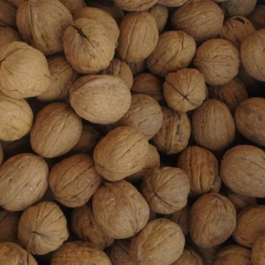 گردوآمریکائی 25کیلوئی ارسال باباربری وهزینه به عهده مشتری میباشد