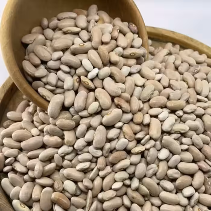 لوبیا کشاورزی یک کیلویی گیاهینو - لوبیا کرم - لوبیا کپسولی