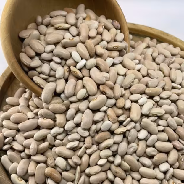 لوبیا کشاورزی یک کیلویی گیاهینو - لوبیا کرم - لوبیا کپسولی