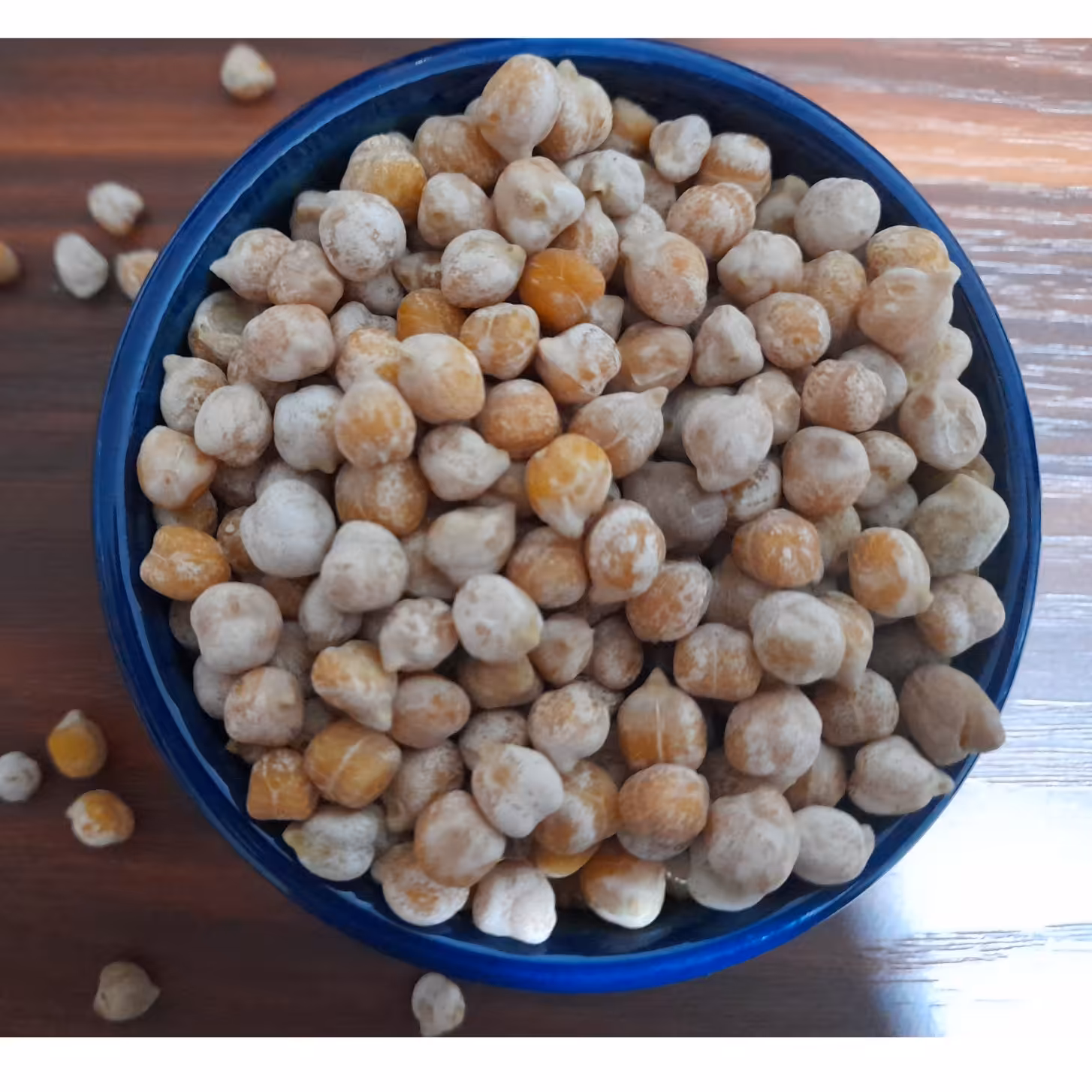 نخودچی نمکی (بومی)