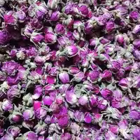 گل سرخ غنچه