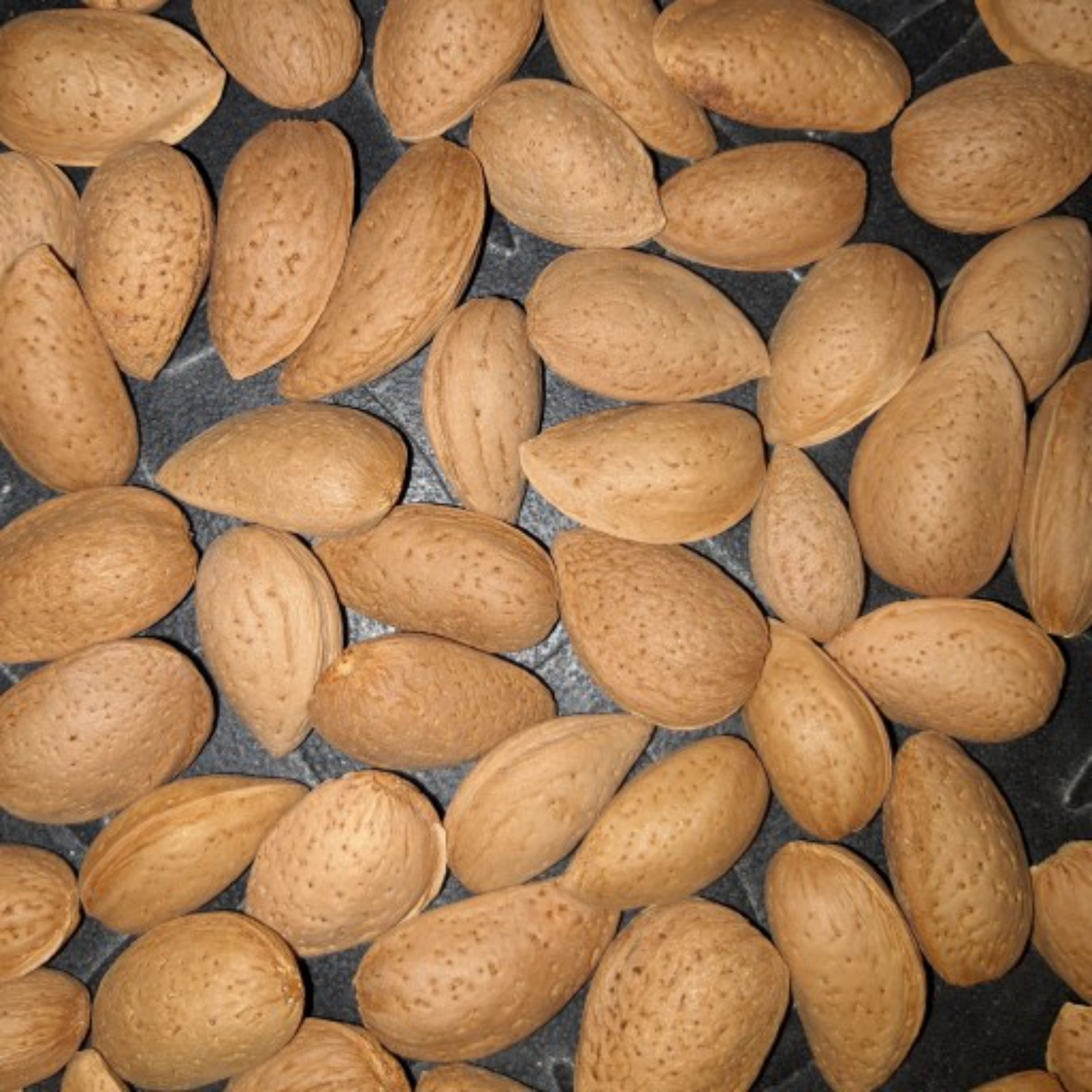 بادام شیرین امسالی بدون هیچ تلخی ارسال رایگان