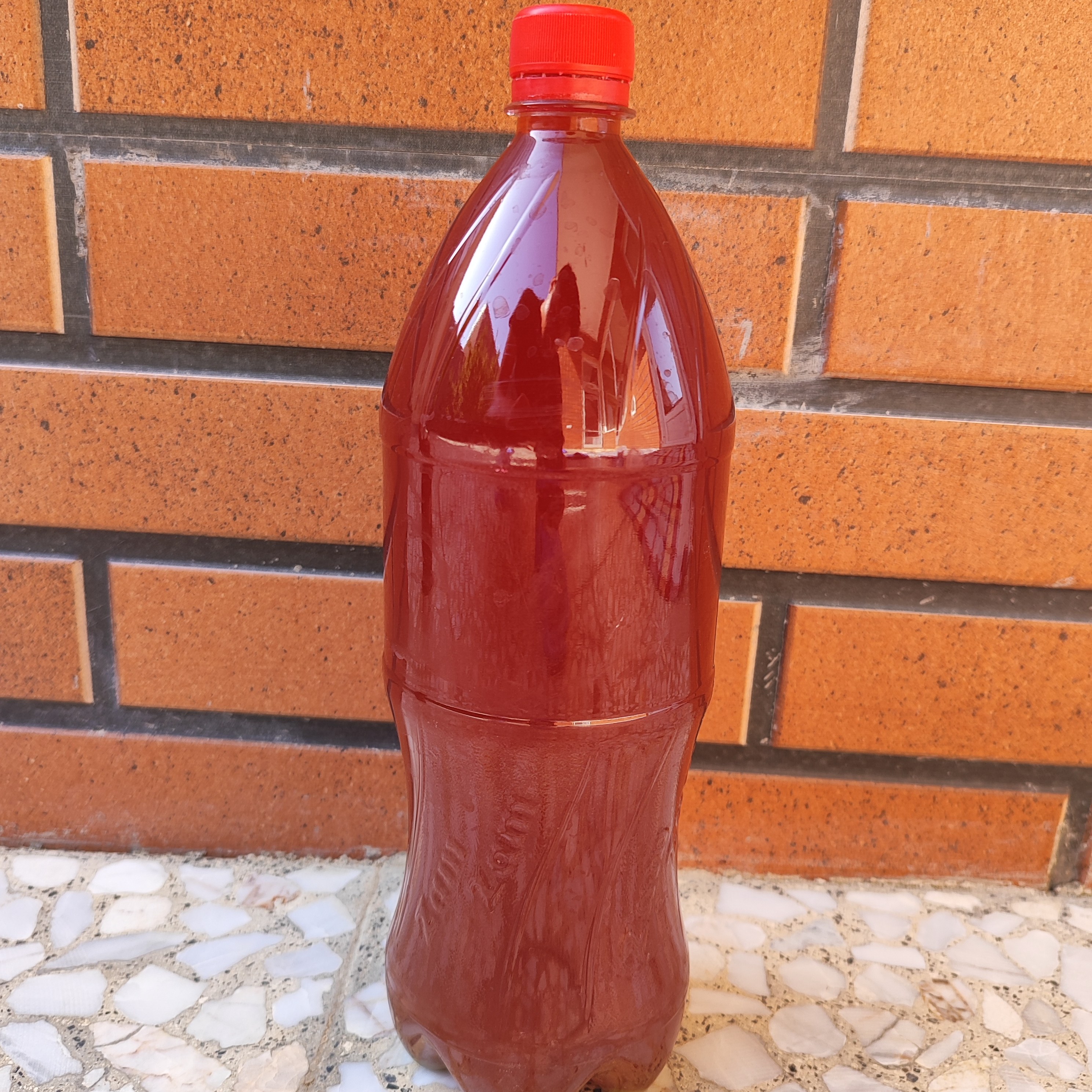 آبغوره خانگی امساله 15 لیتری