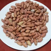 بادام زمینی آستانه