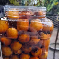 ازگیل شور محلی (2200گرمی)