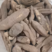 عود صلیب (عود الصلیب) نیم کیلویی