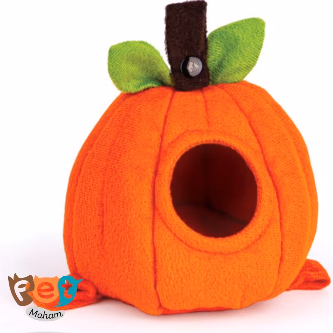 مخفیگاه مدل میوه ایی سایز کوچیک 