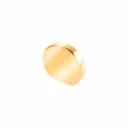 دستگیره کابینت تک پیچ بهریزان  مدل SH508-5-S  طلایی