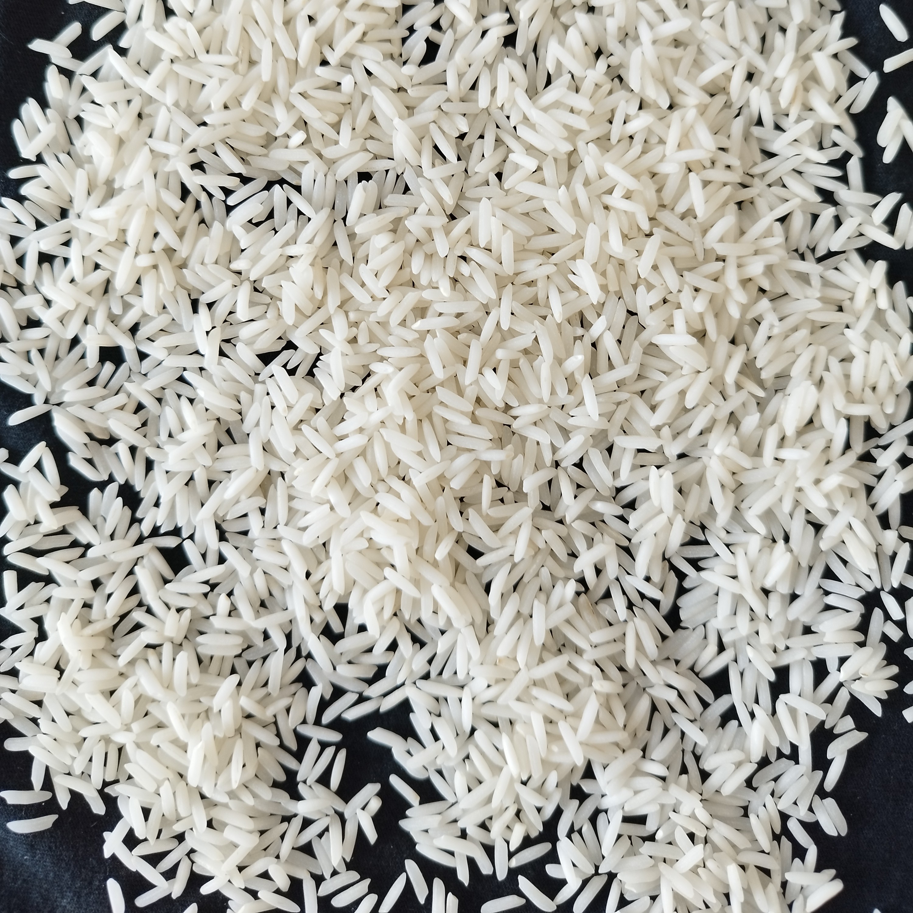 برنج طارم فریدونکنار (شیرودی) مستقیم از تولید کننده 5کیلویی صددرصد ایرانی خالص سورت شده ارسال بصورت پسکرایه