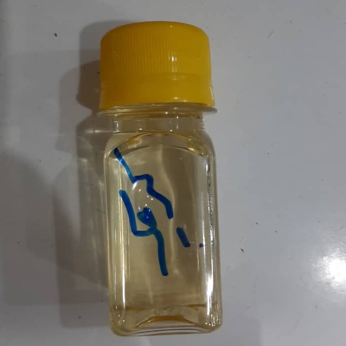 روغن کرچک