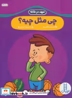 قیمت و خرید کتاب چی مثل چیه؟ اثر گروه نویسندگان | ایده بوک