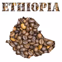 دان قهوه اتیوپی لکمپتی 100 درصد عربیکا ارسال رایگان Ethiopia lekempti coffee 