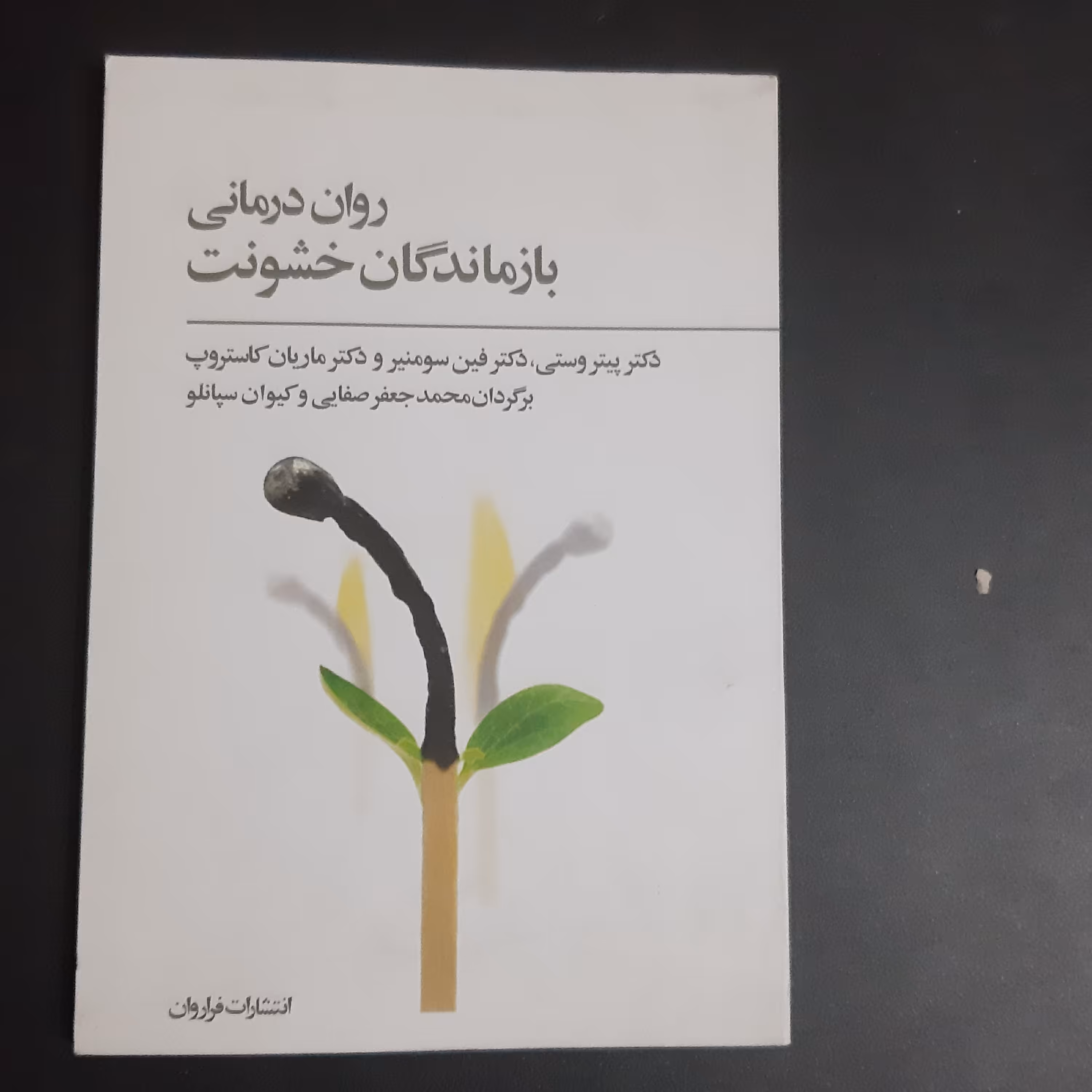 کتاب روان درمانی بازماندگان خشونت