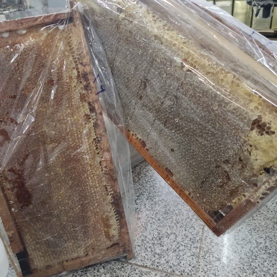 عسل موم دار کوهستان 5کیلویی