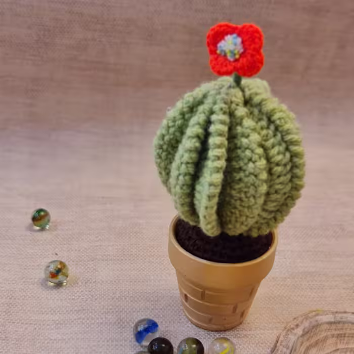 کاکتوس پره ای گل نارنجی 