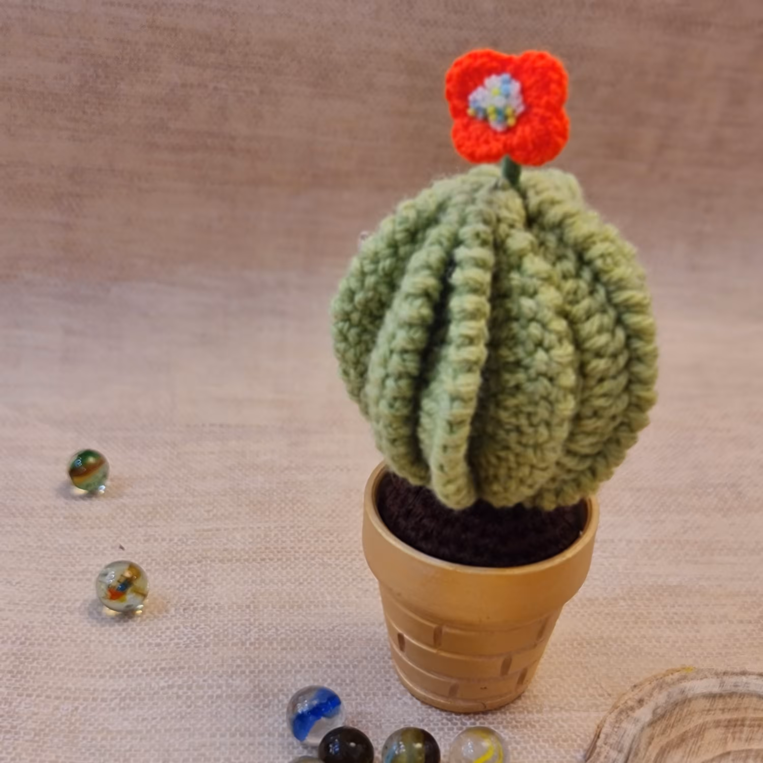 کاکتوس پره ای گل نارنجی 