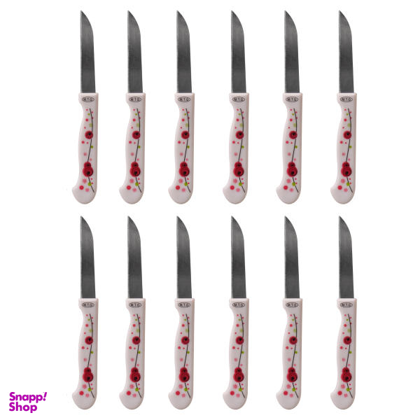 کارد میوه خوری مدل Joint-ch-03 بسته 12 عددی
