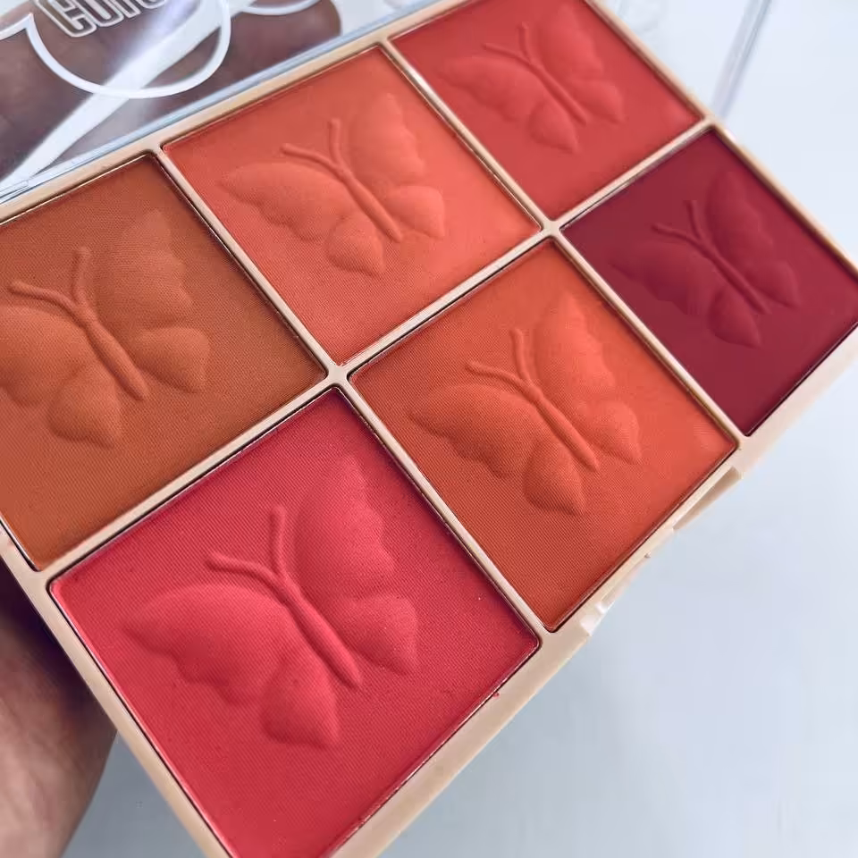 پالت رژگونه شش رنگ مینی کویین