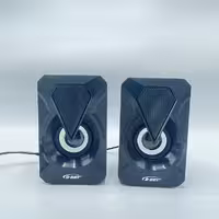 اسپیکر دو تکه دی نت چراغدار مدل DT10