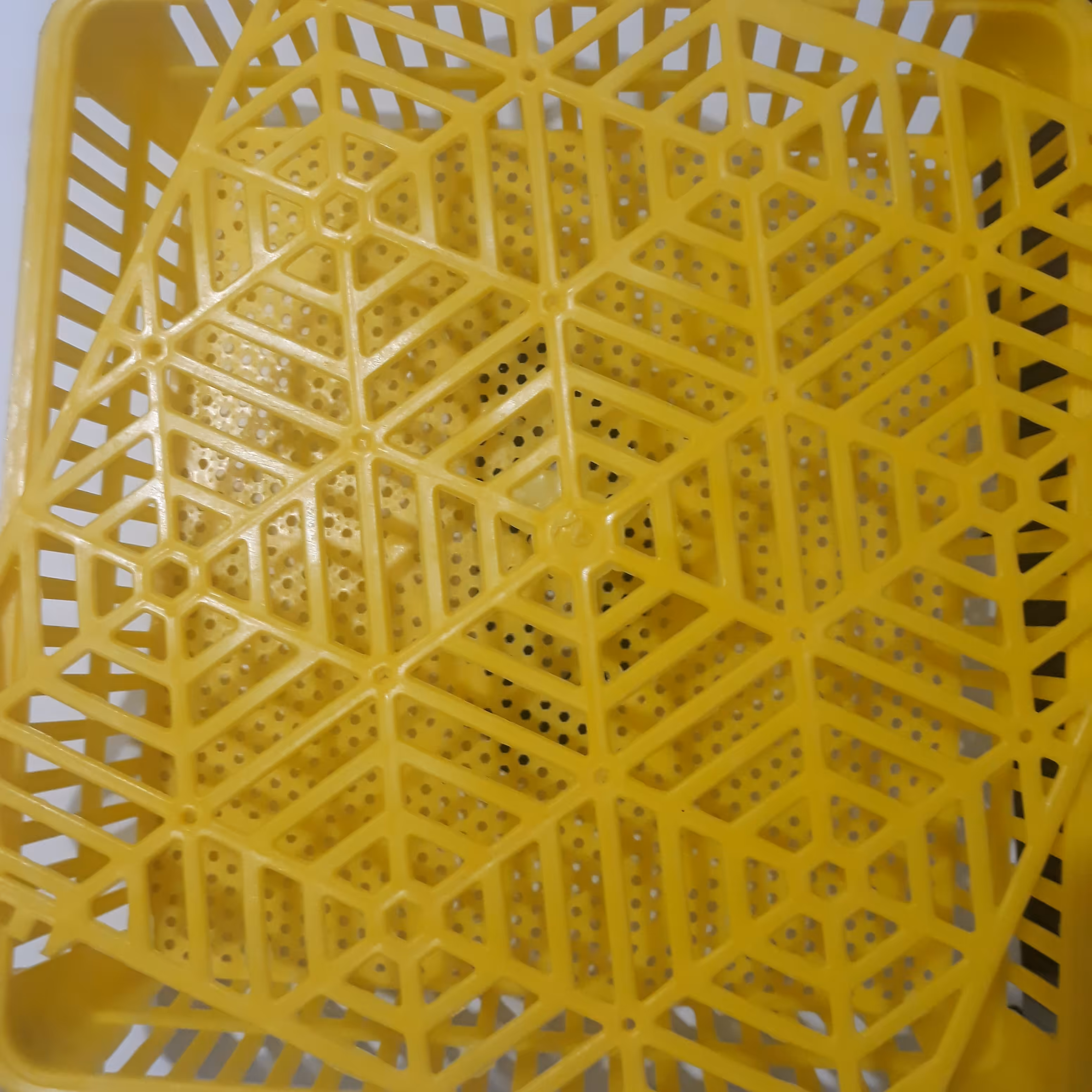 2 عدد سبد هچ جوجه کشی مناسب تمامی پرندگان