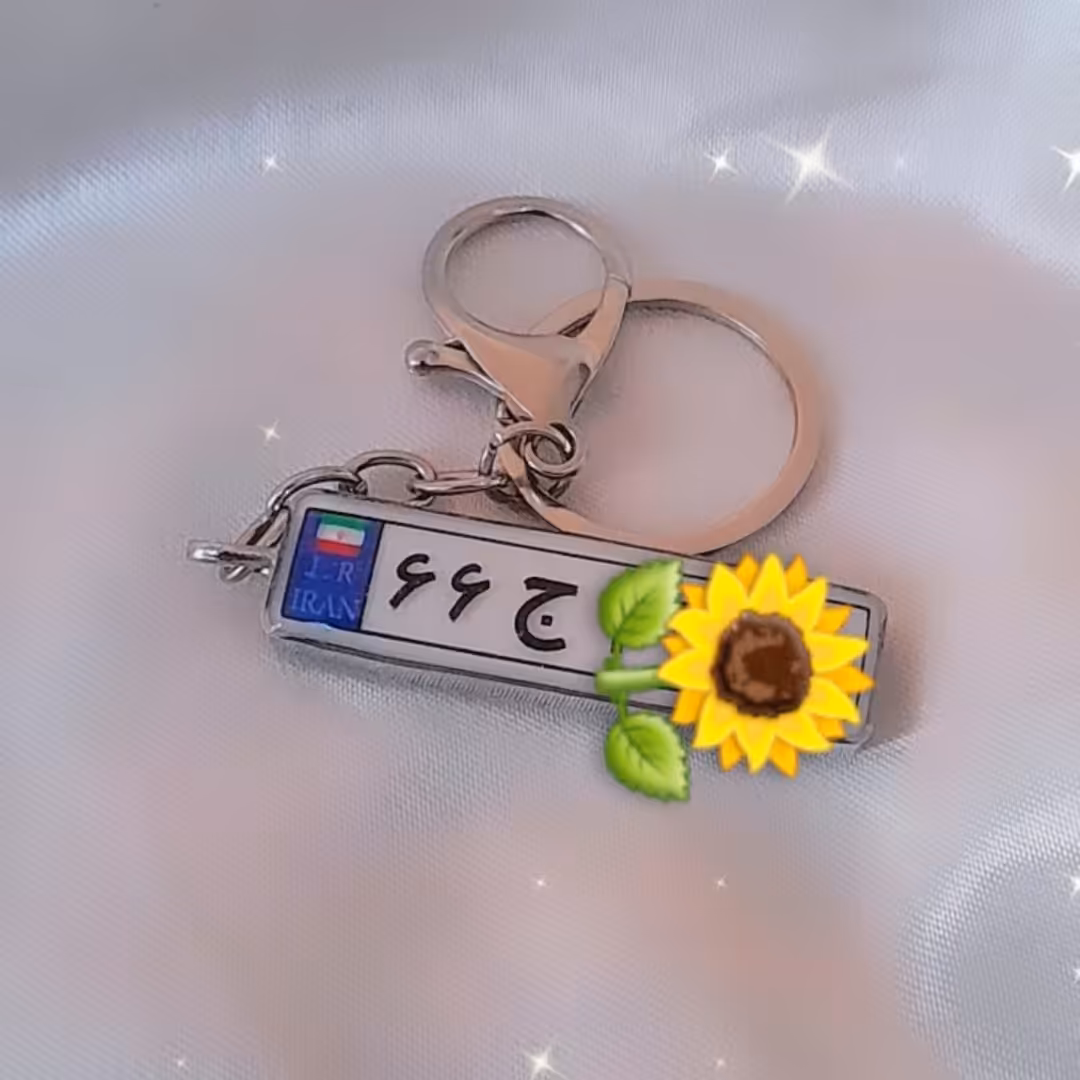 پلاک ماشین رزینی با قاب استیل نقره رنگ ثابت و حلقه قفلدار