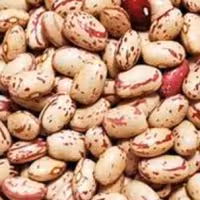 لوبیا چیتی ،  900گرمی ،ارسال رایگان سه خرید یک محصول هدیه