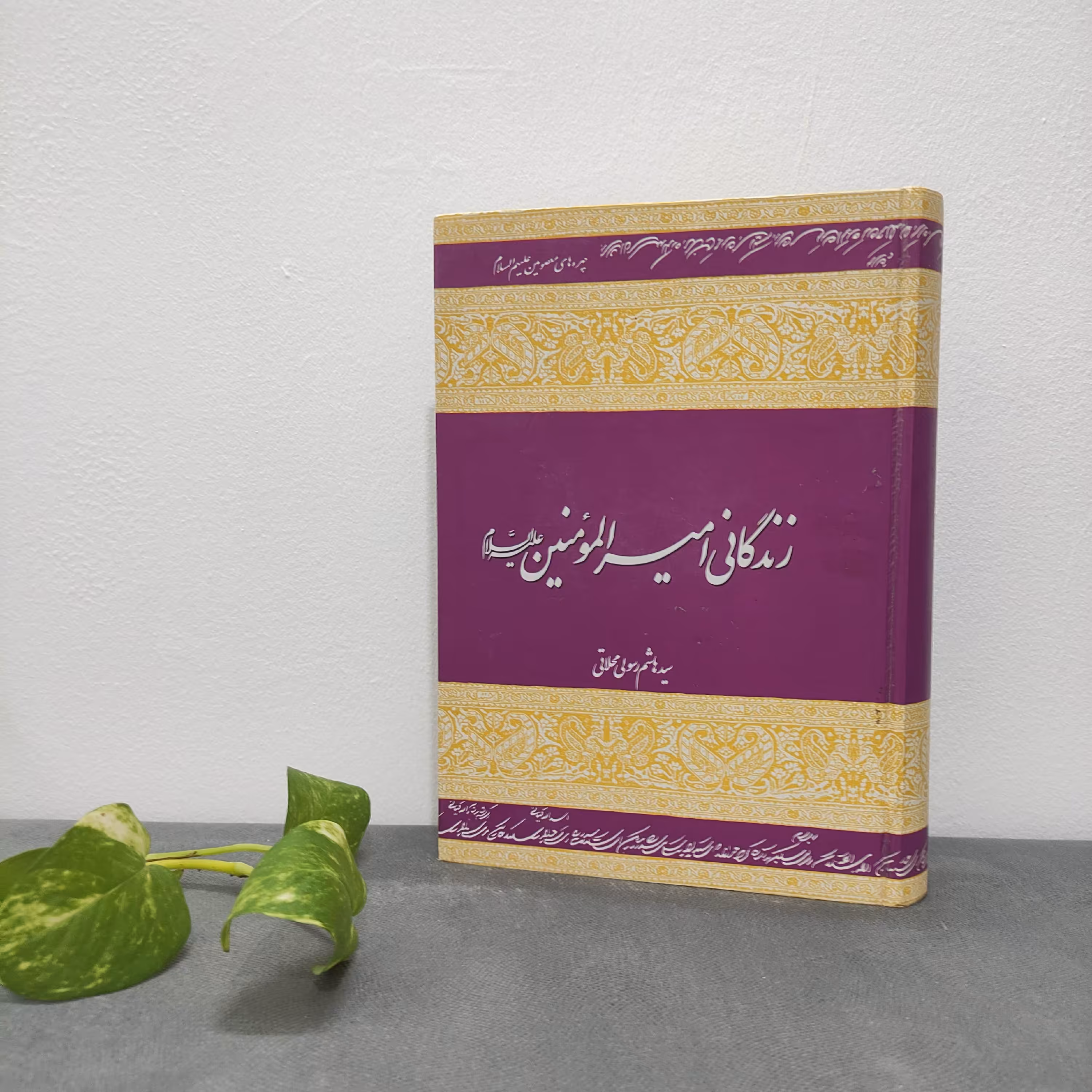 کتاب زندگانی امیرالمومنین علیه السلام سید هاشم رسولی محلاتی 