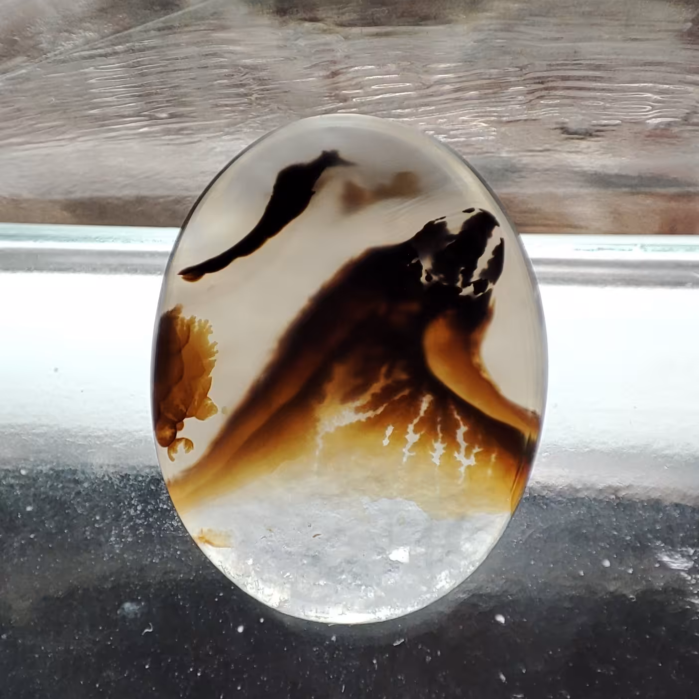 شجر  قائن مصور کد 532