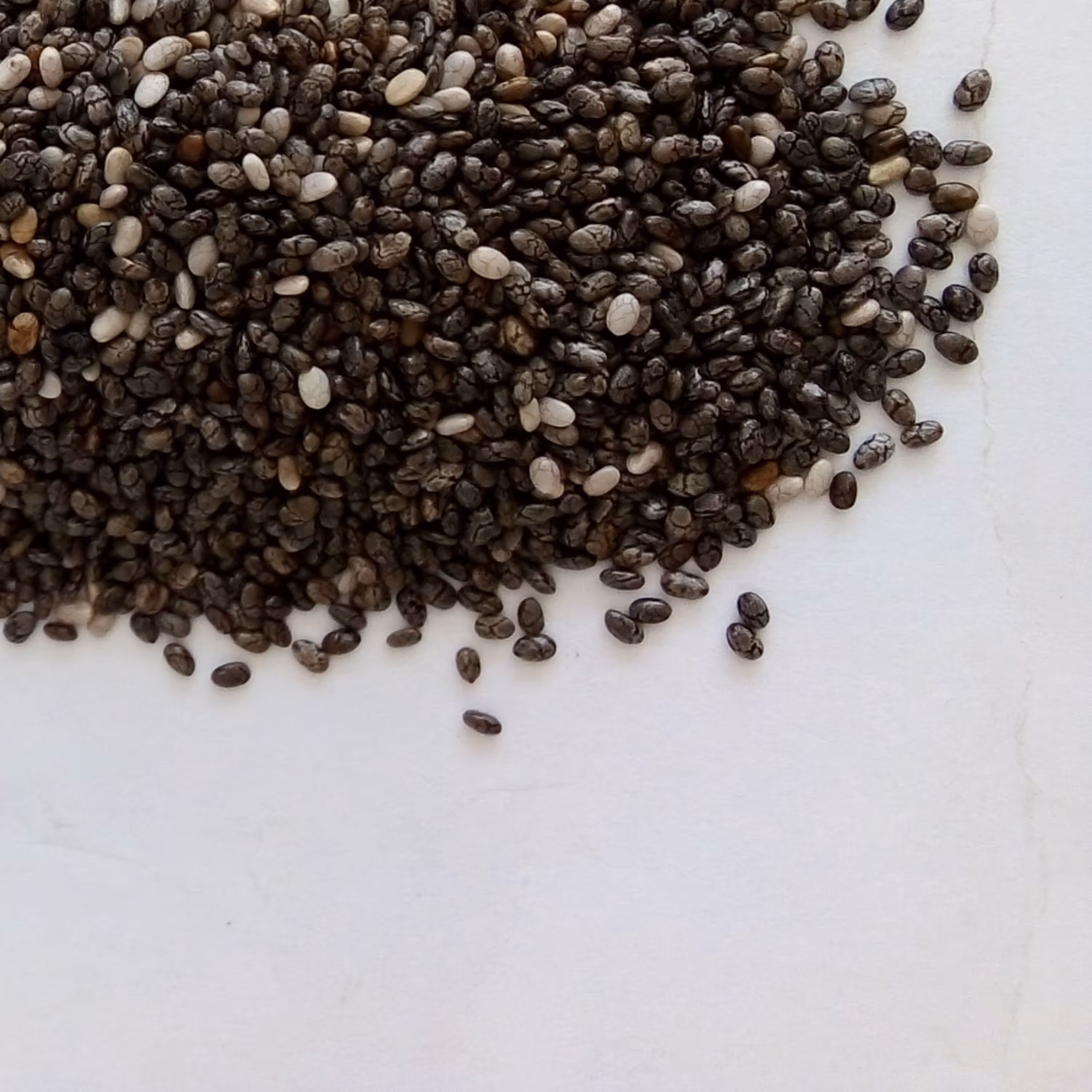 دانه چیا صد گرمی