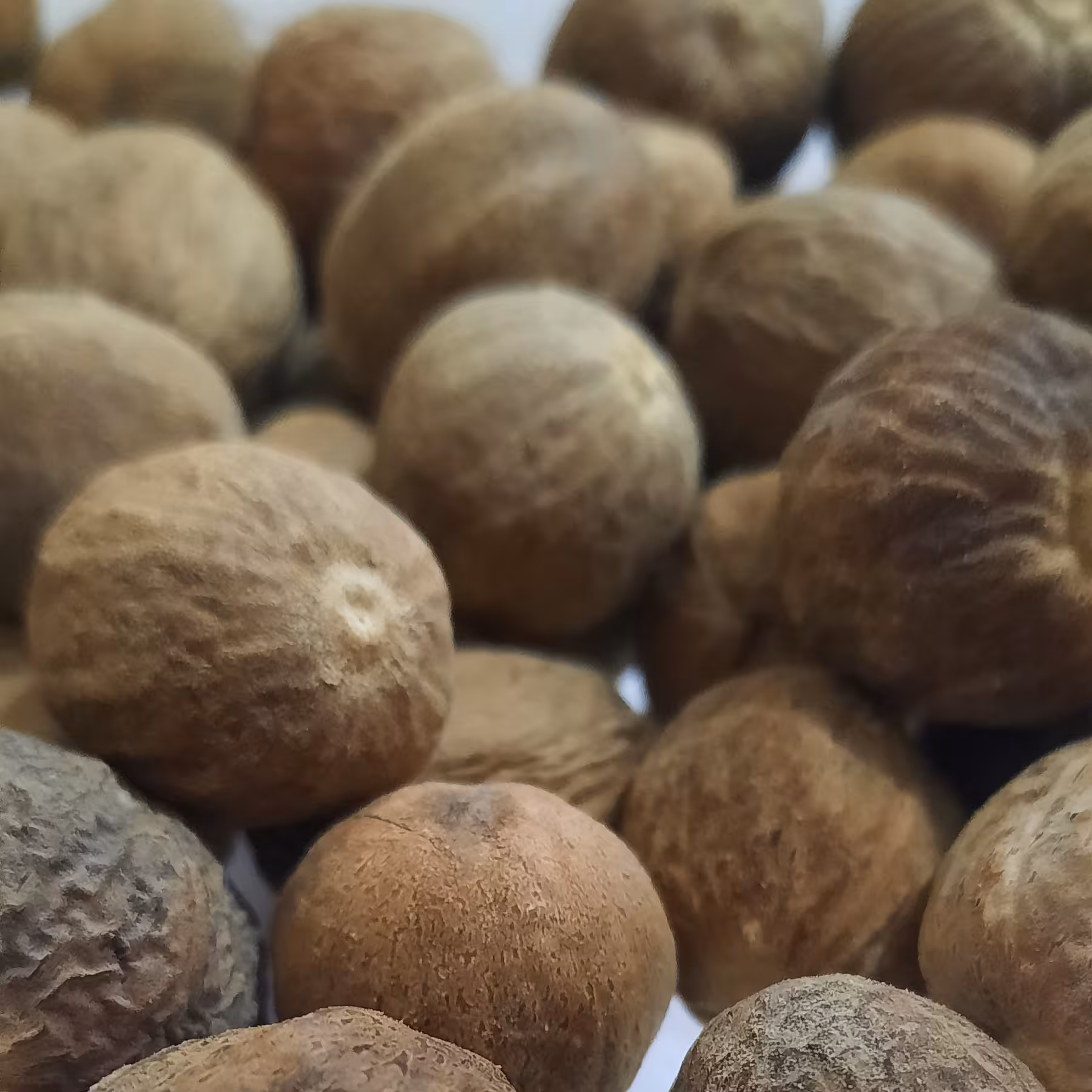 جوز هندی 10عددی