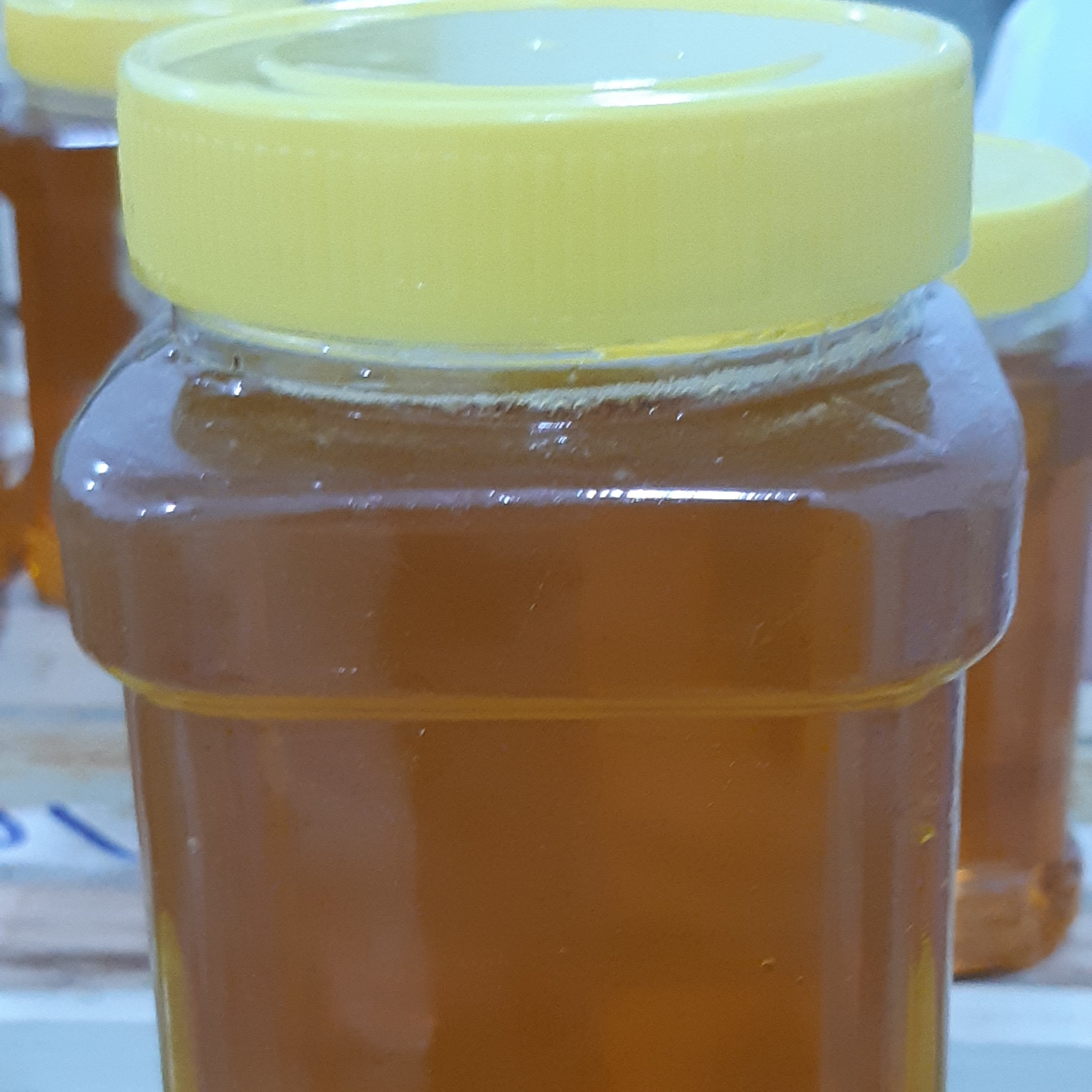 عسل کوهستان ( صددرصد طبیعی و ارگانیک)دوکیلو