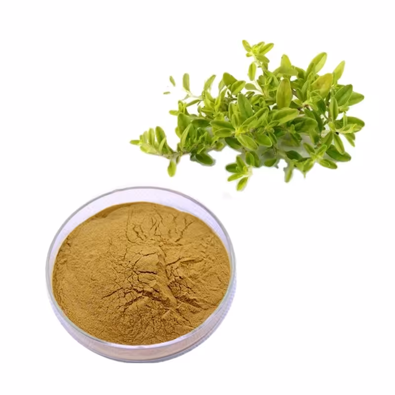 عصاره پودری آویشن اصل با ویتامین و ماندگاری بالا در بسته بندی ده کیلویی