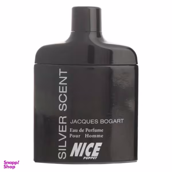 ادوپرفیوم مردانه نایس مدل Silver Scent حجم 85 میلی‌ لیتر