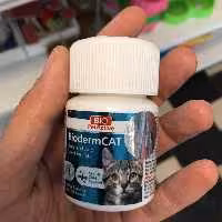  تقویتی پوست و مو  مخصوص گربه حاوی بیوتین و زینک 100 عددی