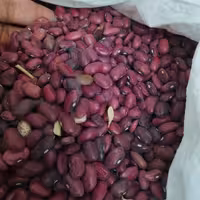 لوبیاقرمز خوش پخت 