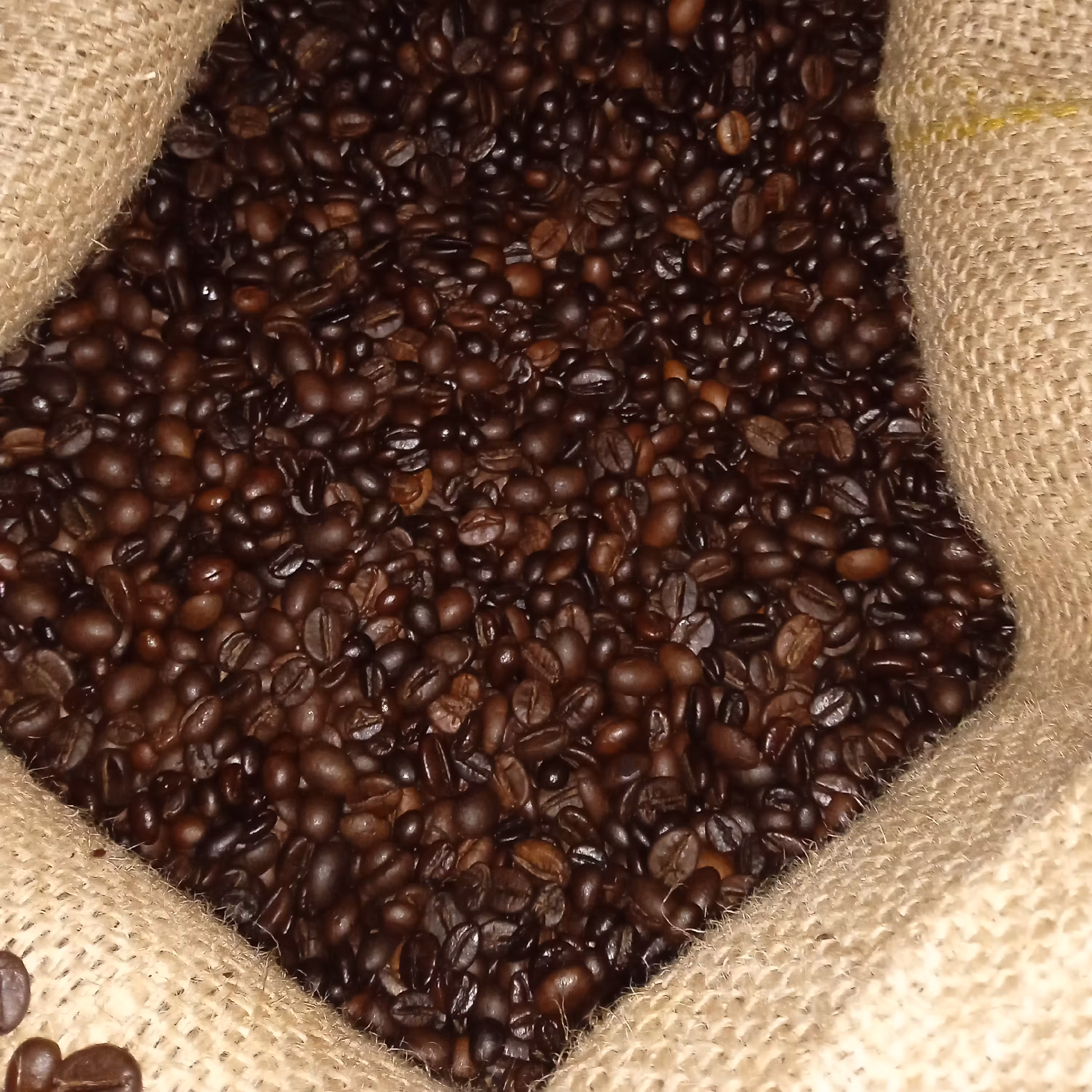 قهوه ایتالیایی رُست اروپا 