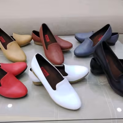 کالج شیک آرس