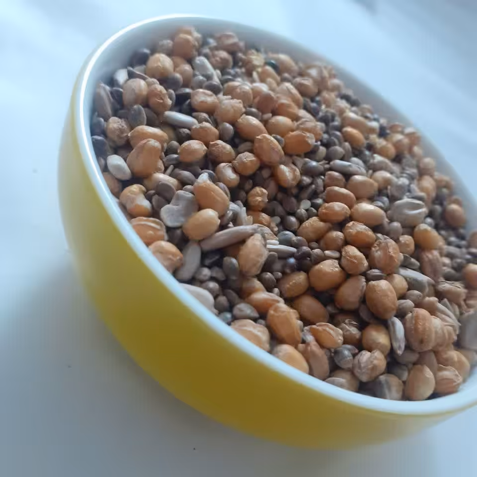 گندم برشته(گندم شاهدونه سنتی)(1000گرم)