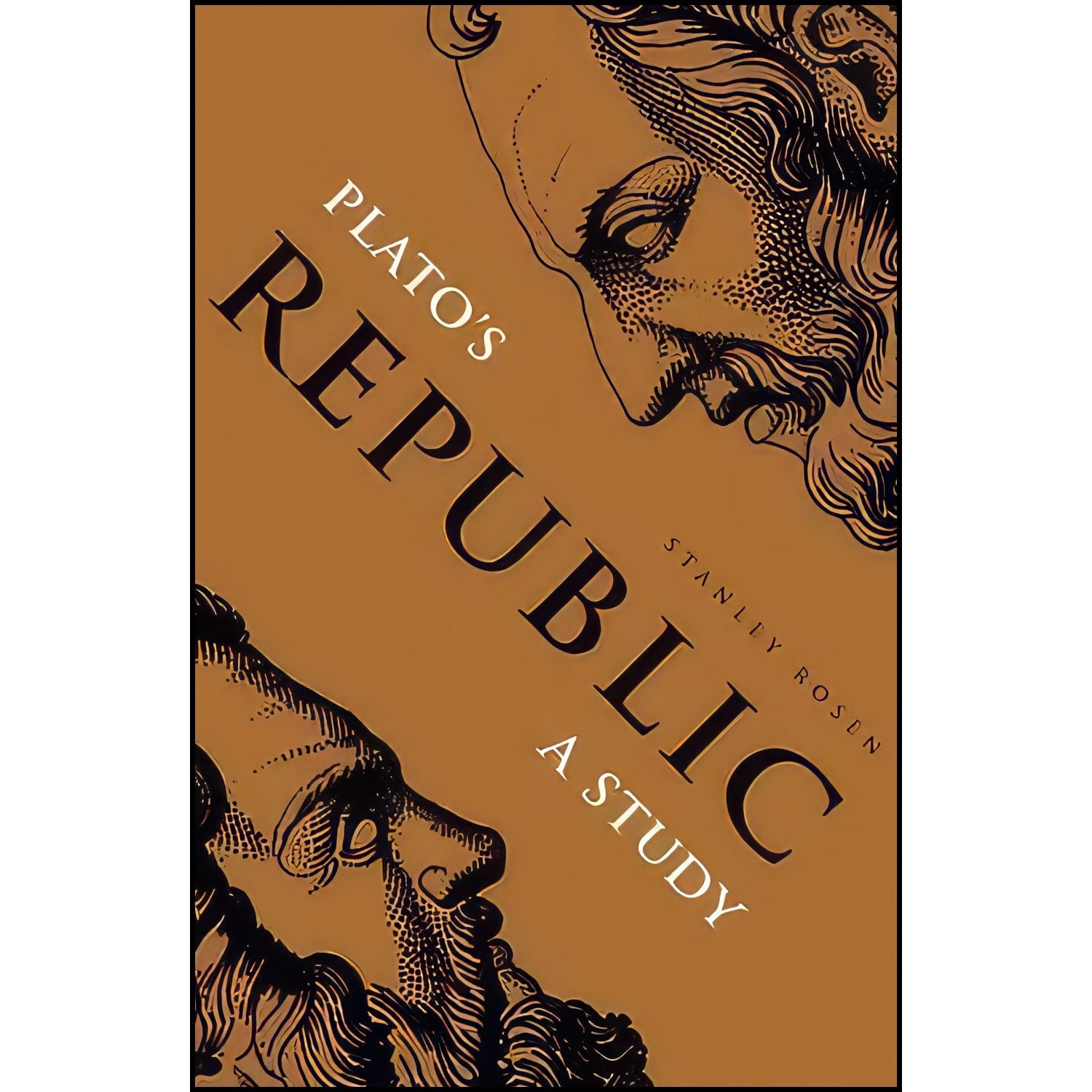 کتاب زبان اصلی Platos Republic اثر Stanley Rosen