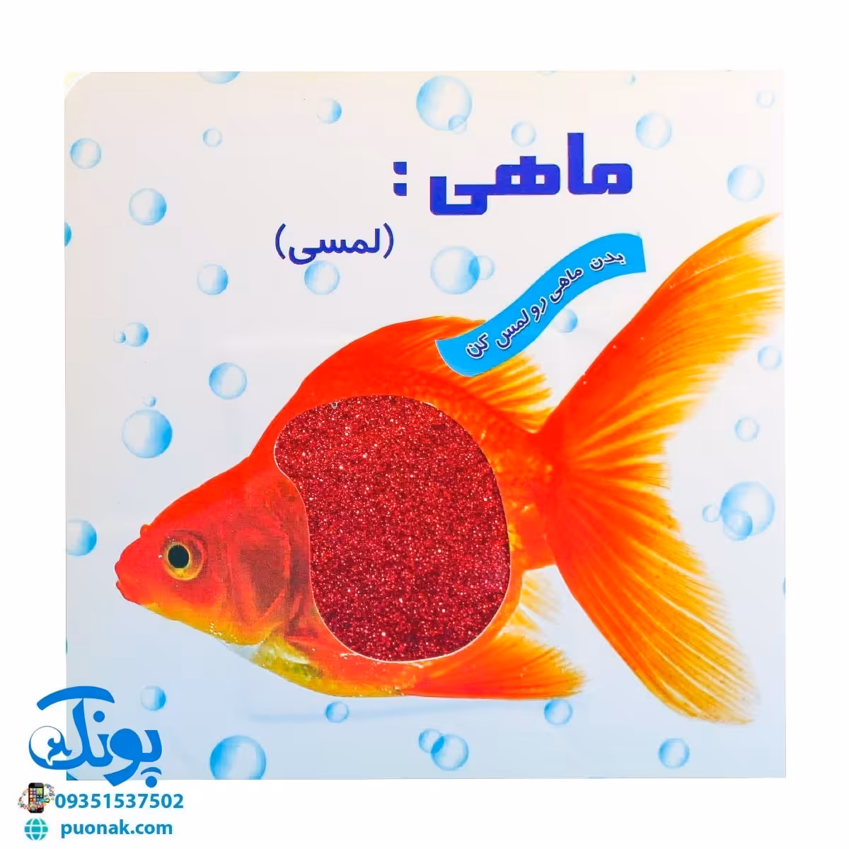 کتاب ماهی لمسی  بدن ماهی را لمس کن